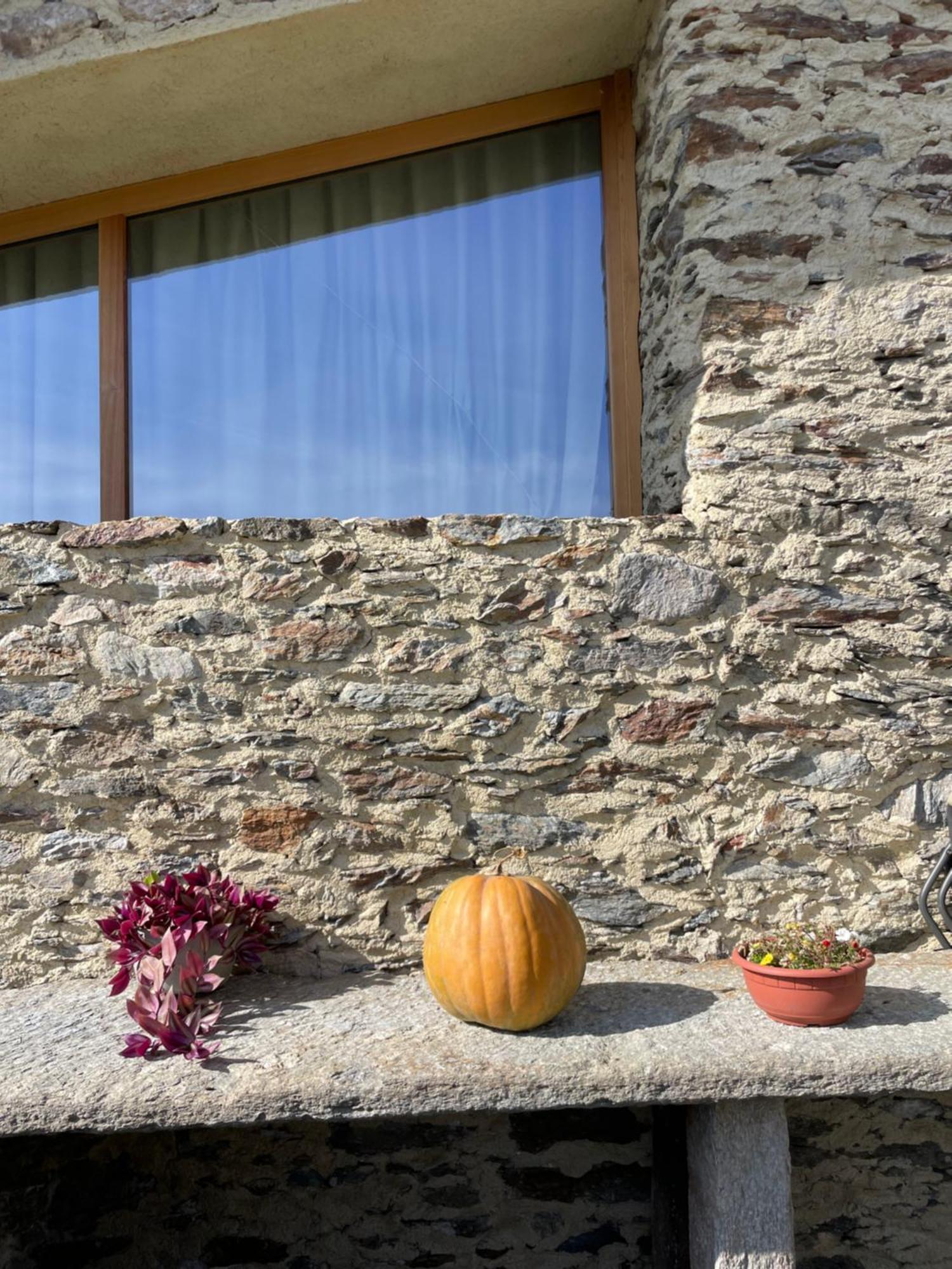 Ca' Barroni Agriresort Sondrio Bagian luar foto